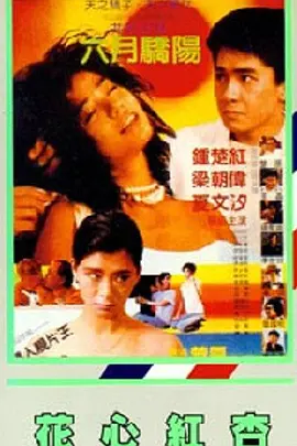 木加监读什么